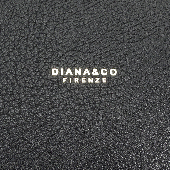 Geanta neagra casual DIANA&CO DTL3517-1 12 [9]