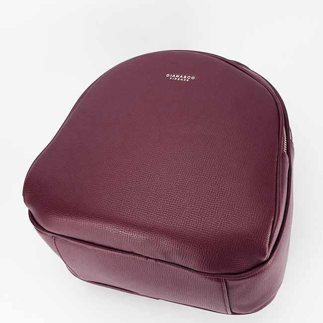 Rucsac bordeaux casual DHO601-3 17 [5]