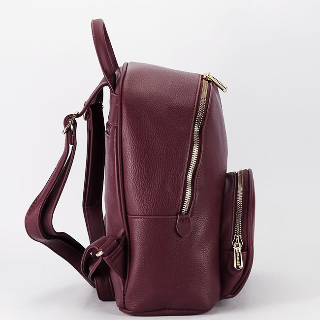 Rucsac bordo casual CM7800 18 [4]