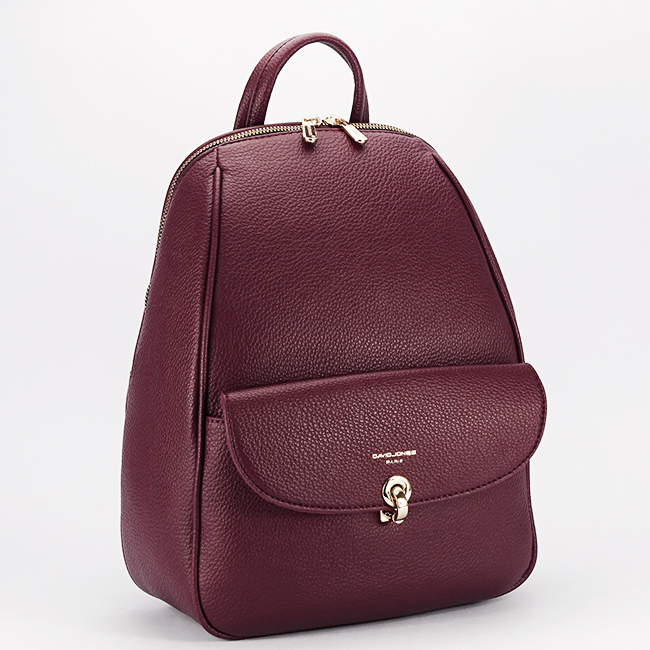 Rucsac bordo David Jones 7169-2 125