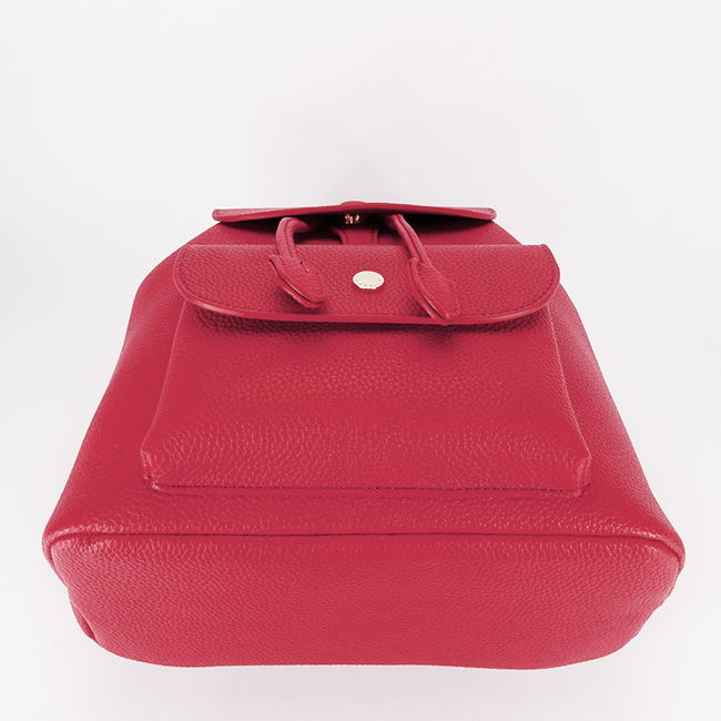 Rucsac rosu casual DTL742-2 16 [5]