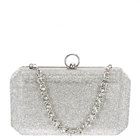 Accesorii - Geanta clutch argintiu cu pietricele BCK-1110 05
