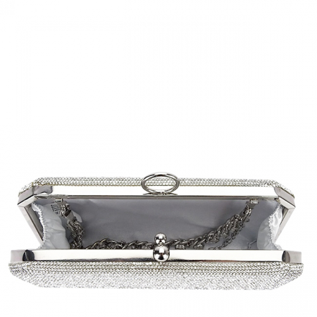 Geanta clutch argintiu cu pietricele BCK-1110 05 [6]