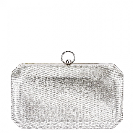 Geanta clutch argintiu cu pietricele BCK-1110 05 [3]