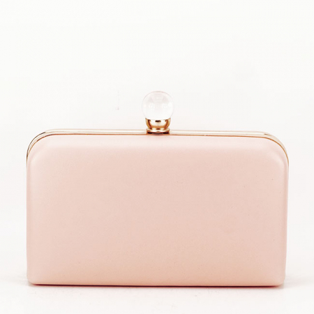 Geanta clutch cu brosa LK5669 05 Roz [3]
