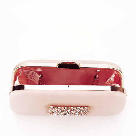 Geanta clutch roz cu brosa LK5672 06 [6]