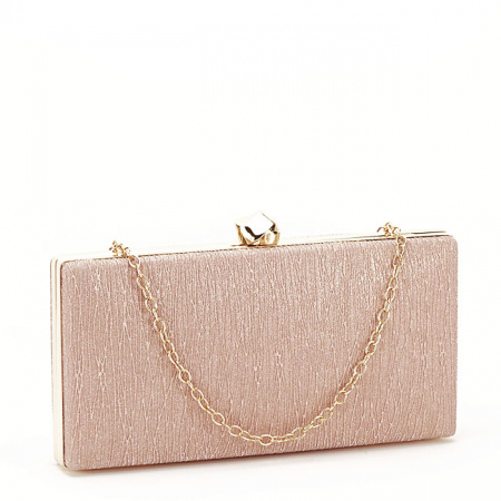 Clutch - Geanta clutch sampanie ABYH-809 06