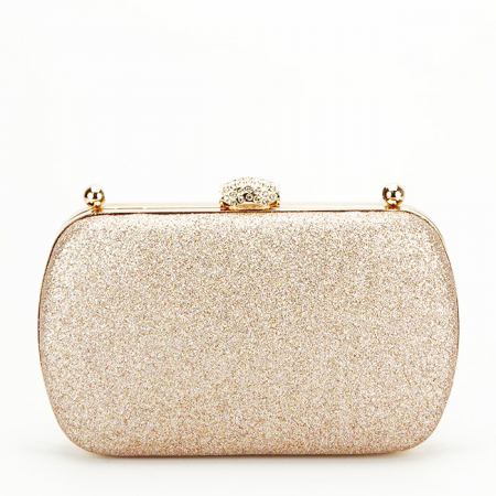 Geanta clutch sampanie cu maner detasabil BYH-871 06 [2]
