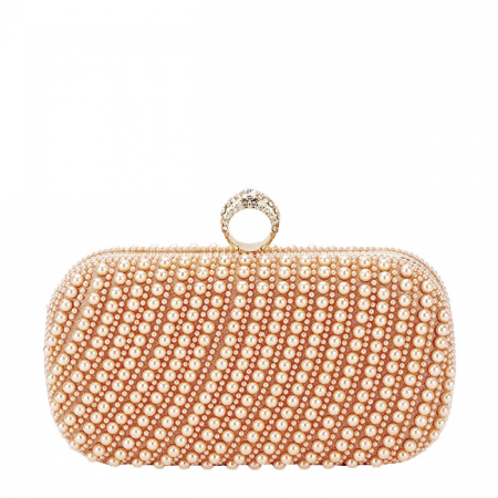 Geanta clutch sampanie cu perle BYH863 06 [3]