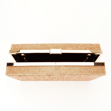 Geanta clutch sampanie cu pietricele BRS-5052 05 [6]