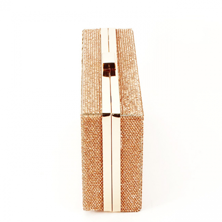 Geanta clutch sampanie cu pietricele BRS-5052 05 [3]