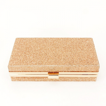 Geanta clutch sampanie cu pietricele BRS-5052 05 [4]