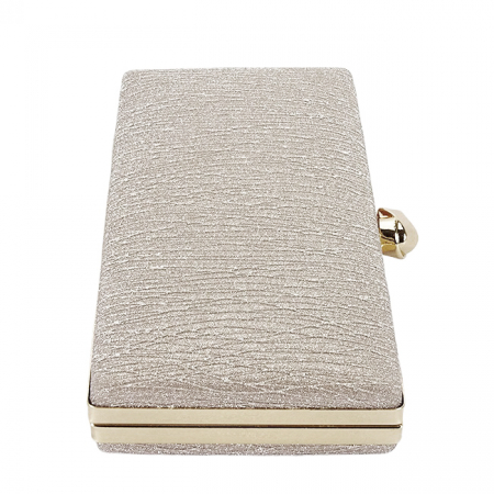 Geanta clutch sampanie cu sclipici BYH-809 06 [5]