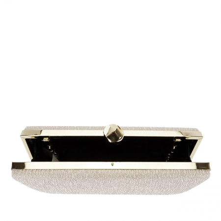 Geanta clutch sampanie cu sclipici BYH-809 06 [6]