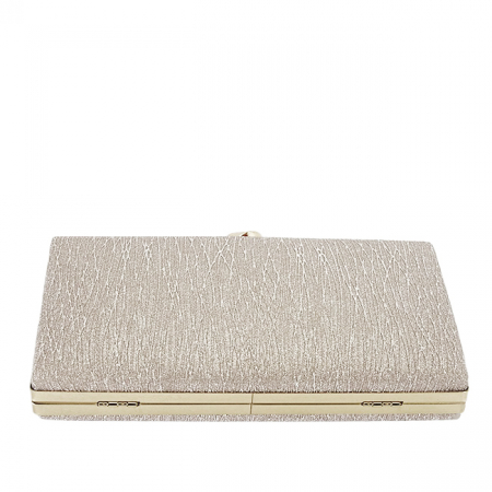 Geanta clutch sampanie cu sclipici BYH-809 06 [4]