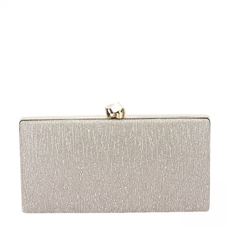 Geanta clutch sampanie cu sclipici BYH-809 06 [2]