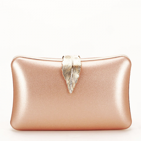 Geanta clutch sampanie simplu BME-600  05 [1]