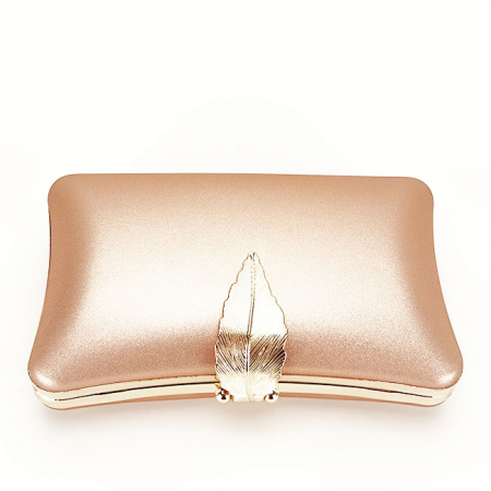 Geanta clutch sampanie simplu BME-600  05 [4]