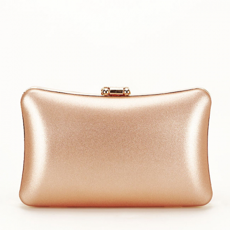 Geanta clutch sampanie simplu BME-600  05 [2]
