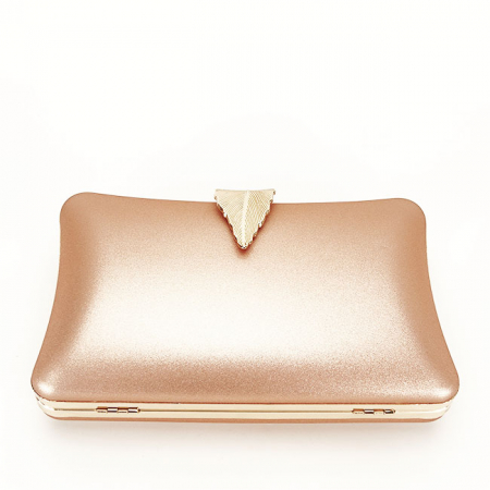 Geanta clutch sampanie simplu BME-600  05 [3]