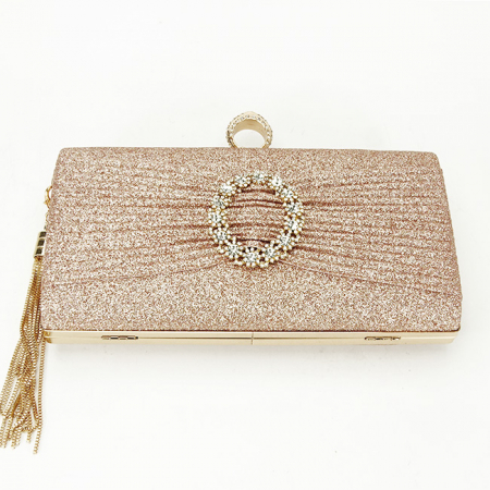 Geanta clutch sampaniu cu brosa BYH-8815 05 [4]