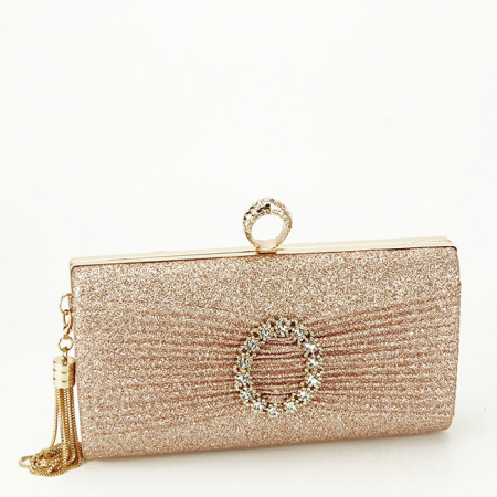 Geanta clutch sampaniu cu brosa BYH-8815 05 [2]