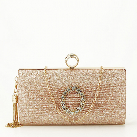 Clutch - Geanta clutch sampaniu cu brosa BYH-8815 05