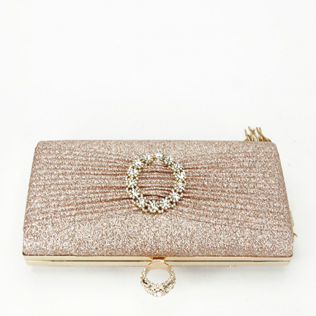Geanta clutch sampaniu cu brosa BYH-8815 05 [5]