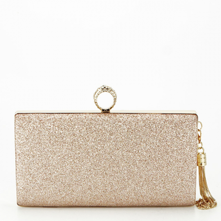 Geanta clutch sampaniu cu brosa BYH-8815 05 [3]