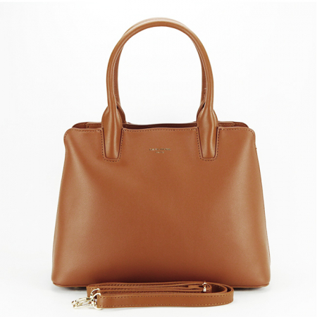 Geanta David Jones CM6779 17 Maro [4]