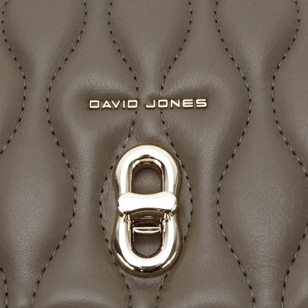 Geanta David Jones CM6783 15 Maro taupe [9]