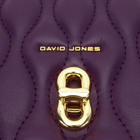 Geanta David Jones CM6783 15 Mov [9]