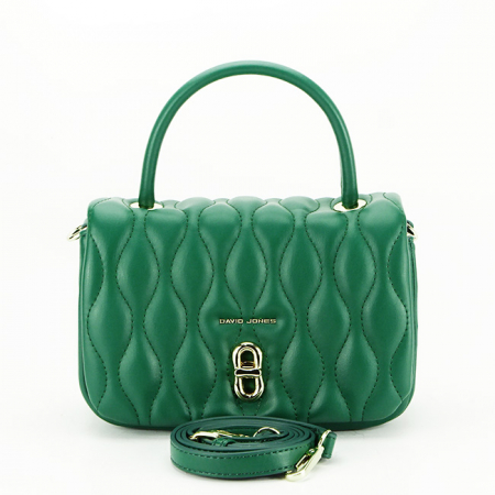 Geanta David Jones CM6783 15 Verde [4]