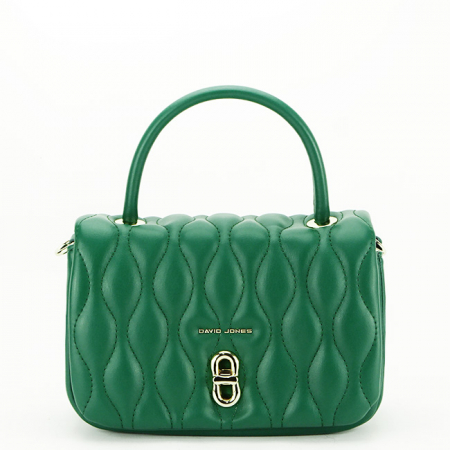 Genti mici - Geanta David Jones CM6783 15 Verde