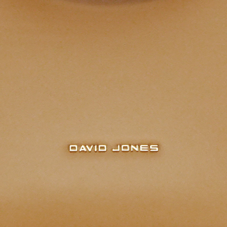 Geanta David Jones CM6795 15 Camel [10]
