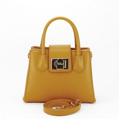 Geanta mica mustar David Jones CM6913 15 [1]