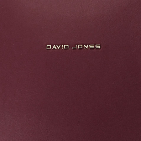 Rucsac David Jones bordo CM7165-2 119 [9]