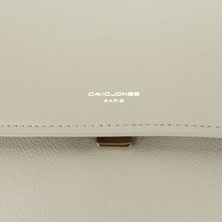 Rucsac gri casual David Jones CM7563 119 [9]