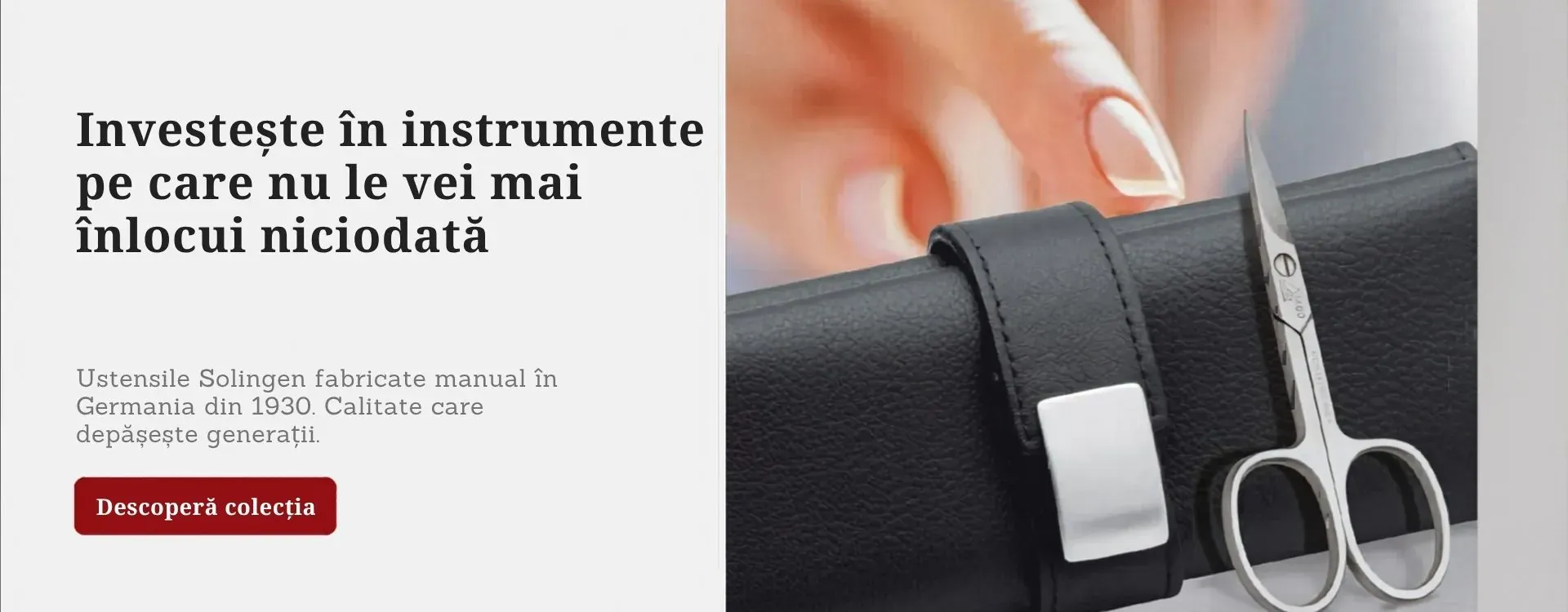 Trusa manichiura profesionala ERBE Solingen cu forfecuta si etui piele