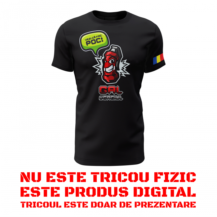 GAL - Produs Digital Standard [1]