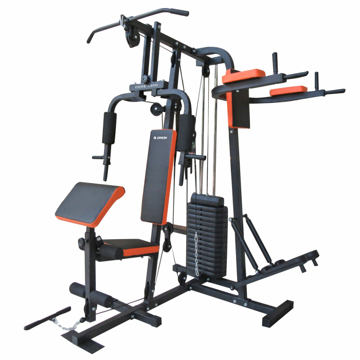 Aparat multifunctional fitness cu stepper ORION Core L300 [1]