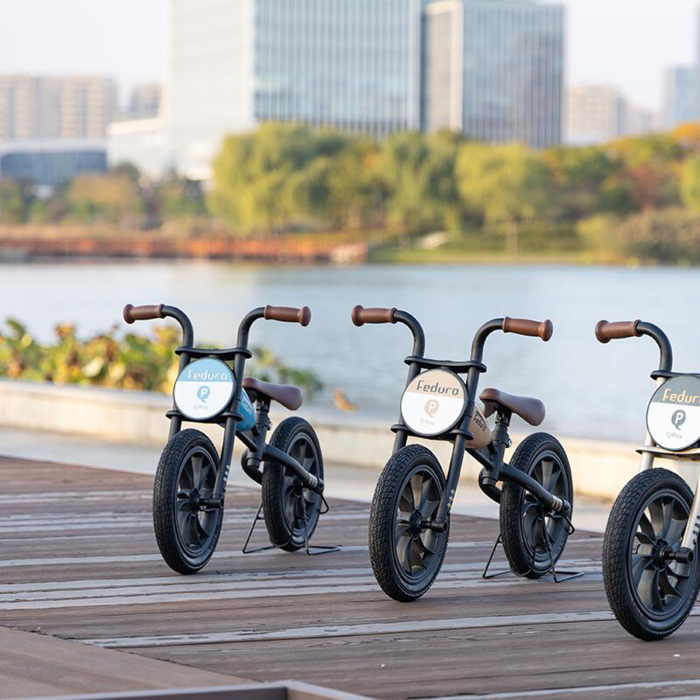 Balance bike 12" QPLAY Feduro, varsta 3-6 ani [8]