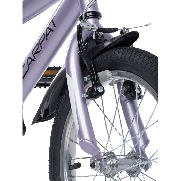 Bicicleta copii 16" CARPAT New Generation, cadru otel, frane V-Brake/torpedo, varsta 4-6 ani  [5]