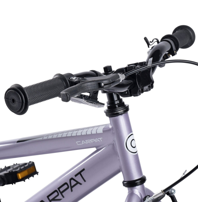 Bicicleta copii 16" CARPAT New Generation, cadru otel, frane V-Brake/torpedo, varsta 4-6 ani  [6]