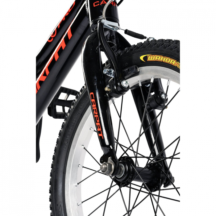 ﻿Bicicleta copii 16" CARPAT Pro 16208C, cadru aluminiu, varsta 4-6 ani [4]