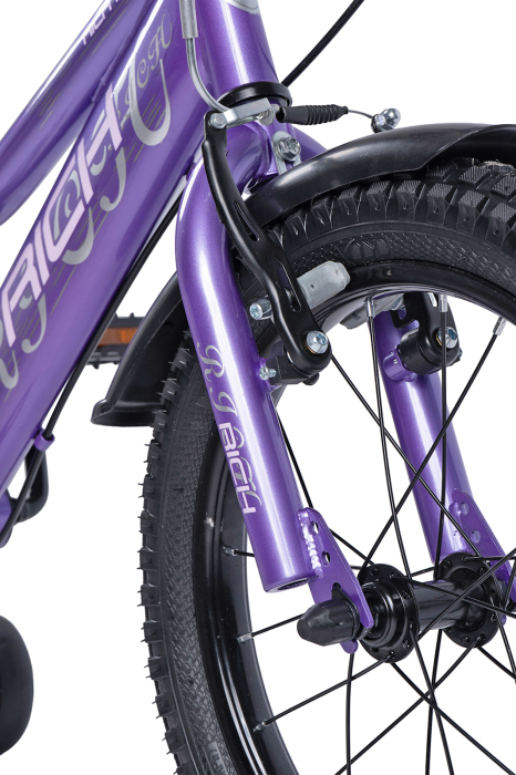 Bicicleta copii 16" RICH Cosmos R1605, varsta 4-6 ani [4]
