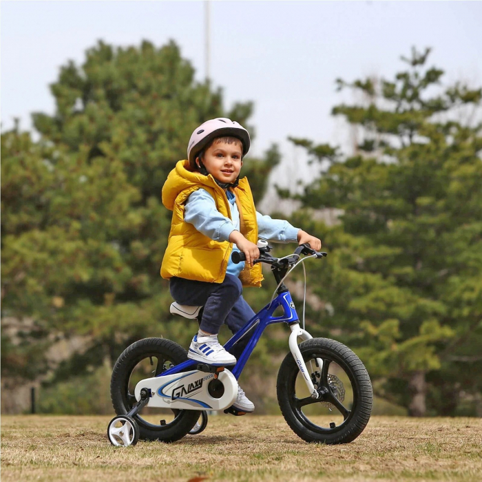 Bicicleta copii 16" ROYAL BABY ChipMunk Galaxy, cadru si roti magneziu, frane disc, roz, varsta 4-6 ani [7]