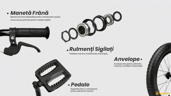 Bicicleta copii 16" ROYAL BABY Freestyle 7.0 NF, rosu, varsta 4-6 ani [6]