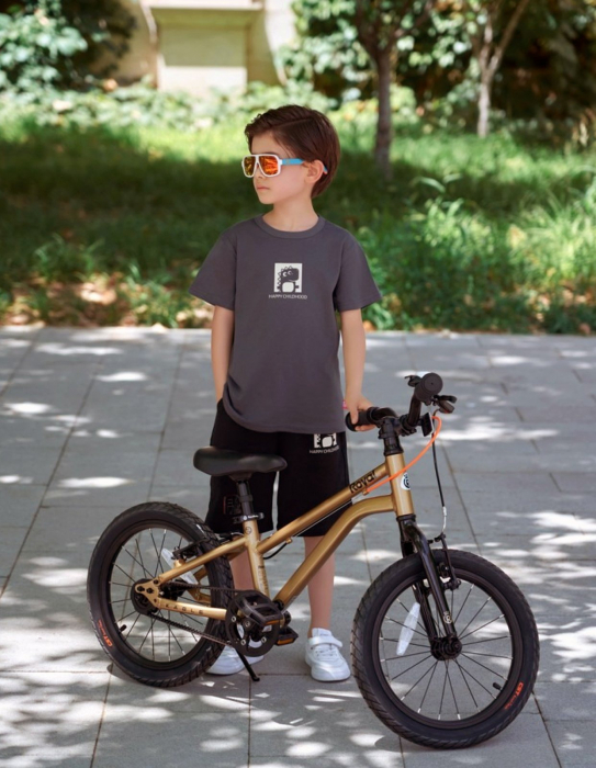 Bicicleta copii 16" ROYAL BABY Kable-Belt, cadru aluminiu SuperLight, transmisie pe curea, albastru,  varsta 4-6 ani [5]