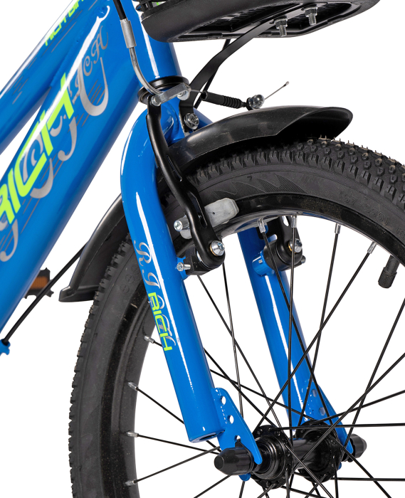 Bicicleta copii 18" RICH R1805, varsta 5-7 ani [4]